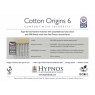 Cotton Origins 6 Mattress