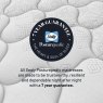 Elevate Ultra Turing Plush Soft Mattress