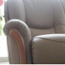 Daria Arm Chair