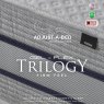 ADJUST-A-BED Gel Flex Trilogy Firm Mattress