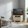 Wayland Corner TV Unit